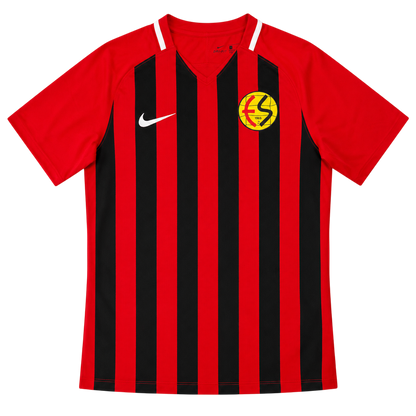 Eskişehirspor Forması - Ön