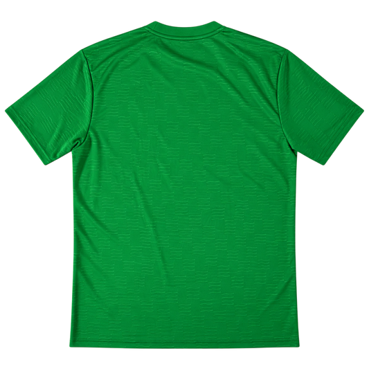 Hammarby Forması